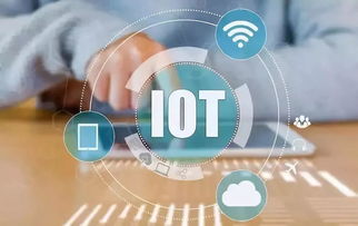 早教园所活动怎么玩 来看看这场策划