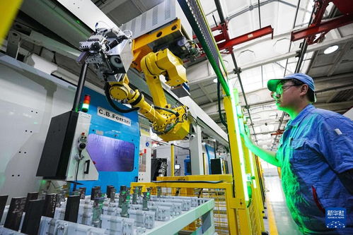 新时代中国调研行之看区域 | 东北智造 以企业网络技术汇聚振兴新动能